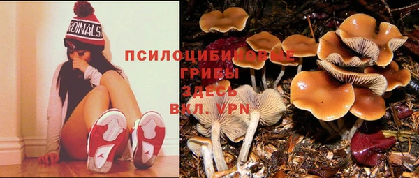 трава Михайловка