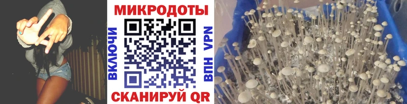 где продают наркотики  Сухой Лог  Галлюциногенные грибы Magic Shrooms 
