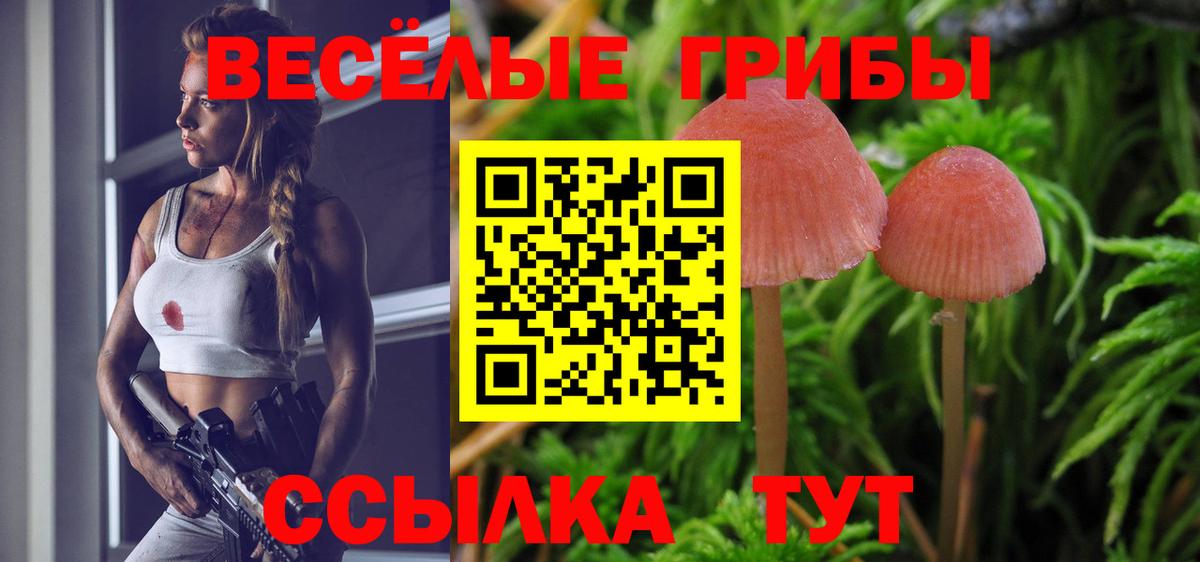 Галлюциногенные грибы Psilocybine cubensis  Вход с VPN  Сухой Лог 